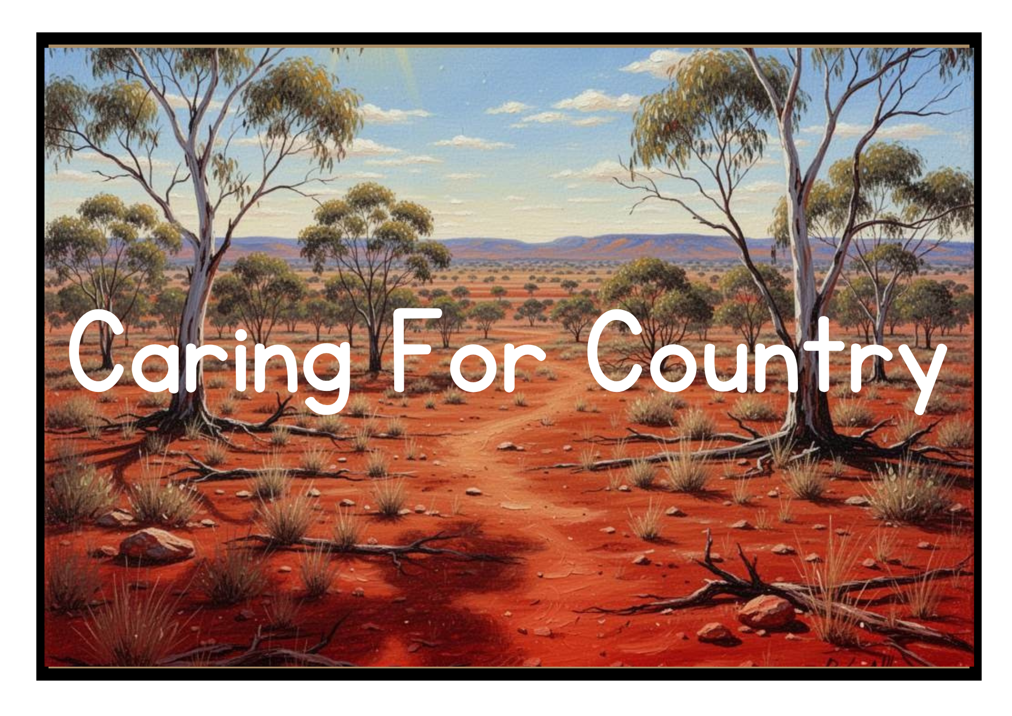 Aboriginal Peoples Use and Care for the Environment Sustainably | Stage 2 Geography Lesson Pack | Year 3 (NSW Curriculum) - Image 3